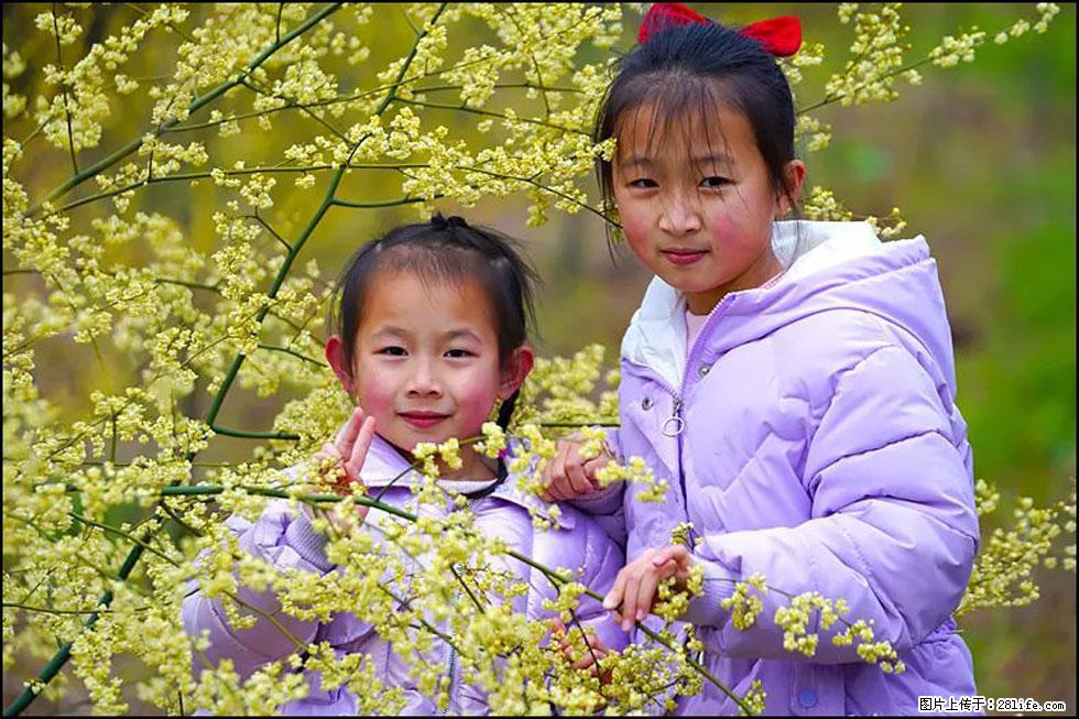 【春天,广西桂林灌阳县向您发出邀请!】米珠山前有片山苍子花在飘香 - 游山玩水 - 保山生活社区 - 保山28生活网 bs.28life.net