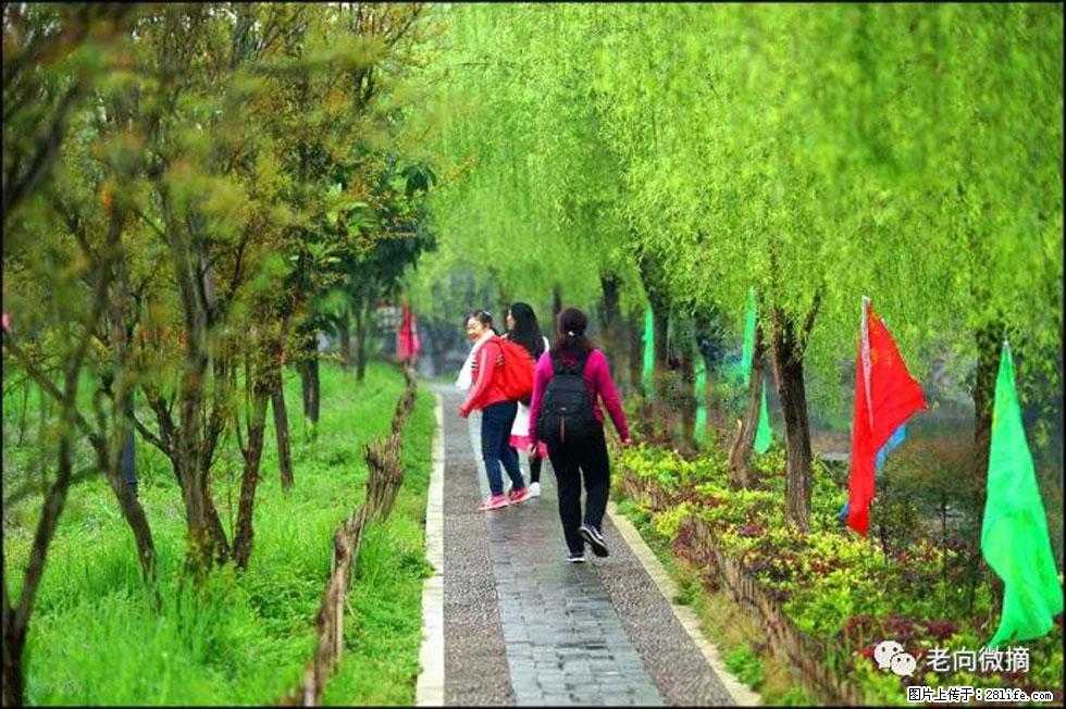 【春天，广西桂林灌阳县向您发出邀请！】江口老街又逢春 - 游山玩水 - 保山生活社区 - 保山28生活网 bs.28life.net