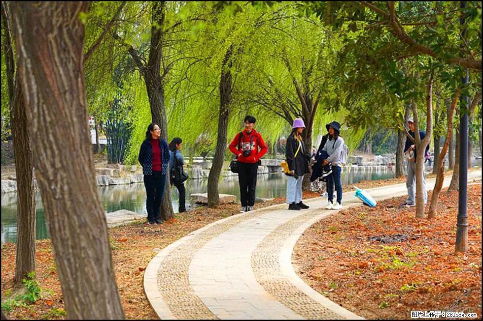 【春天，广西桂林灌阳县向您发出邀请！】江口老街又逢春 - 游山玩水 - 保山生活社区 - 保山28生活网 bs.28life.net