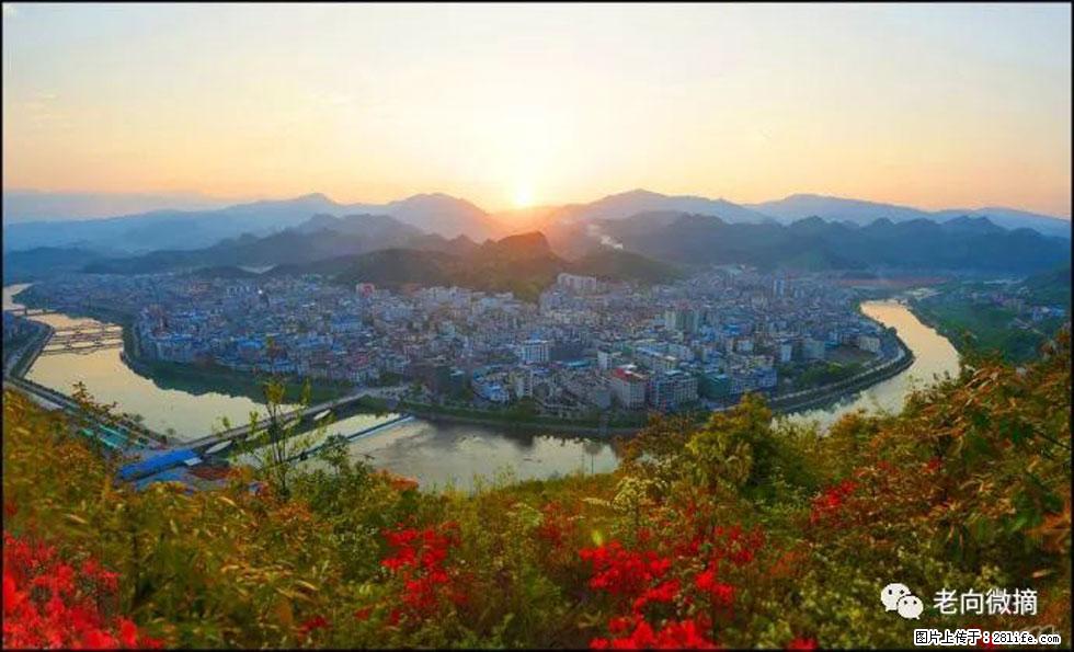 【春天,广西桂林灌阳县向您发出邀请!】登麒麟山,相约映山红 - 游山玩水 - 保山生活社区 - 保山28生活网 bs.28life.net