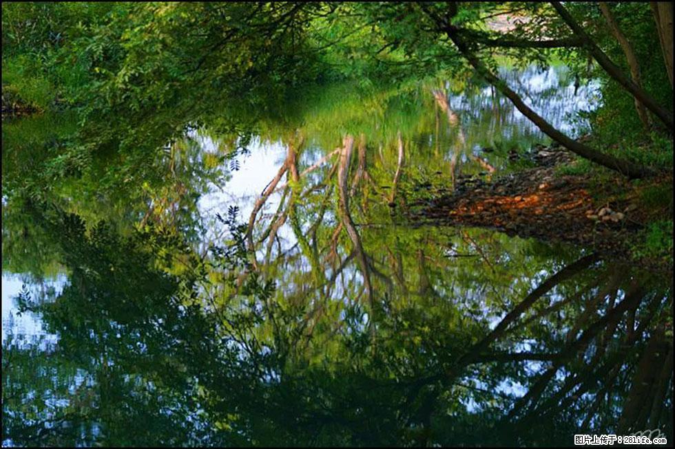 【春天，广西桂林灌阳县向您发出邀请！】熊家寨湿地公园 - 游山玩水 - 保山生活社区 - 保山28生活网 bs.28life.net