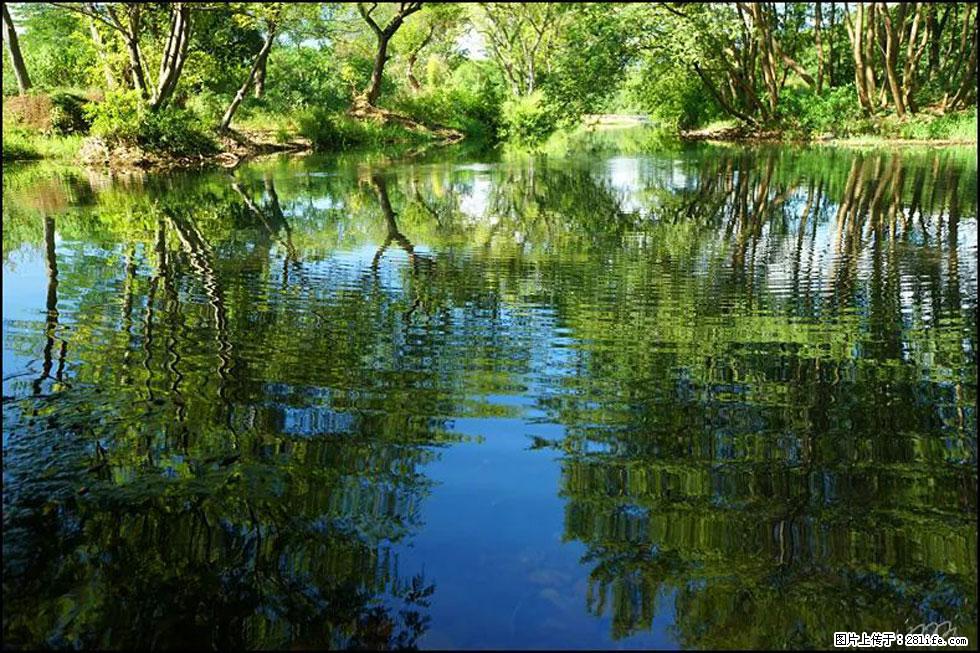 【春天，广西桂林灌阳县向您发出邀请！】熊家寨湿地公园 - 游山玩水 - 保山生活社区 - 保山28生活网 bs.28life.net