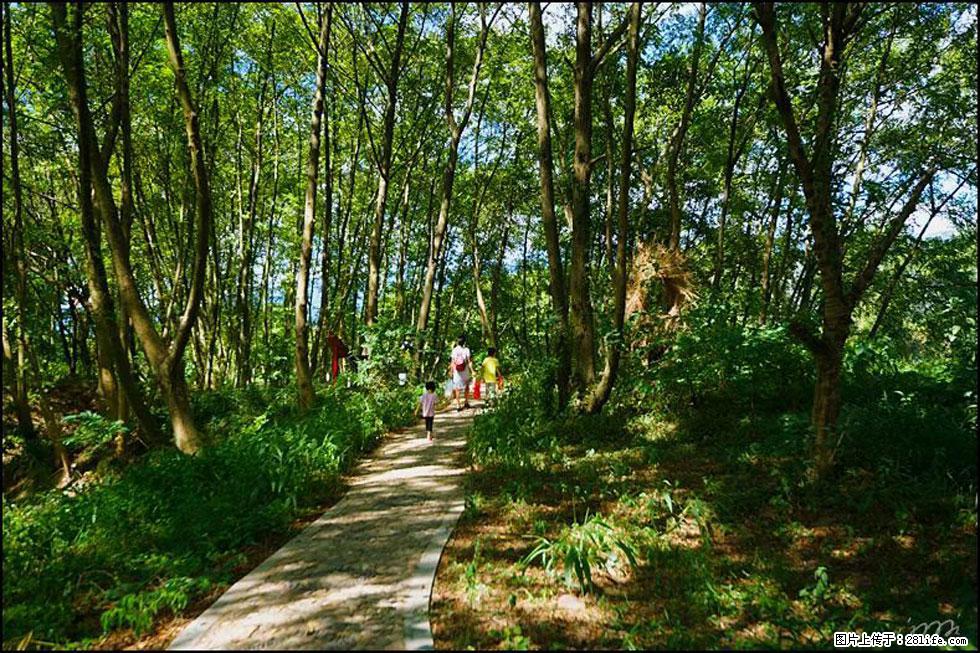 【春天，广西桂林灌阳县向您发出邀请！】熊家寨湿地公园 - 游山玩水 - 保山生活社区 - 保山28生活网 bs.28life.net