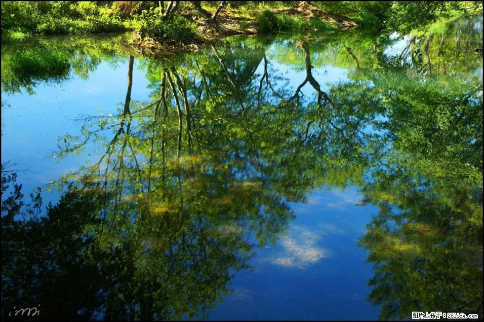 【春天，广西桂林灌阳县向您发出邀请！】熊家寨湿地公园 - 游山玩水 - 保山生活社区 - 保山28生活网 bs.28life.net
