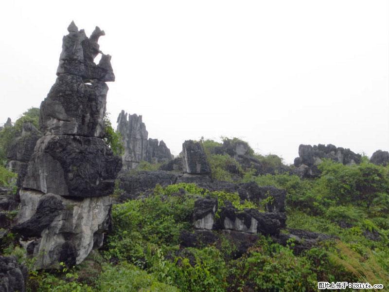 桂林旅游名城景点：灌阳文市石林 - 游山玩水 - 保山生活社区 - 保山28生活网 bs.28life.net