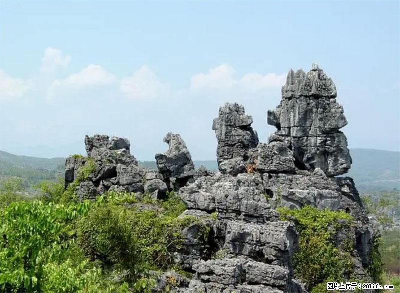 桂林旅游名城景点：灌阳文市石林 - 游山玩水 - 保山生活社区 - 保山28生活网 bs.28life.net
