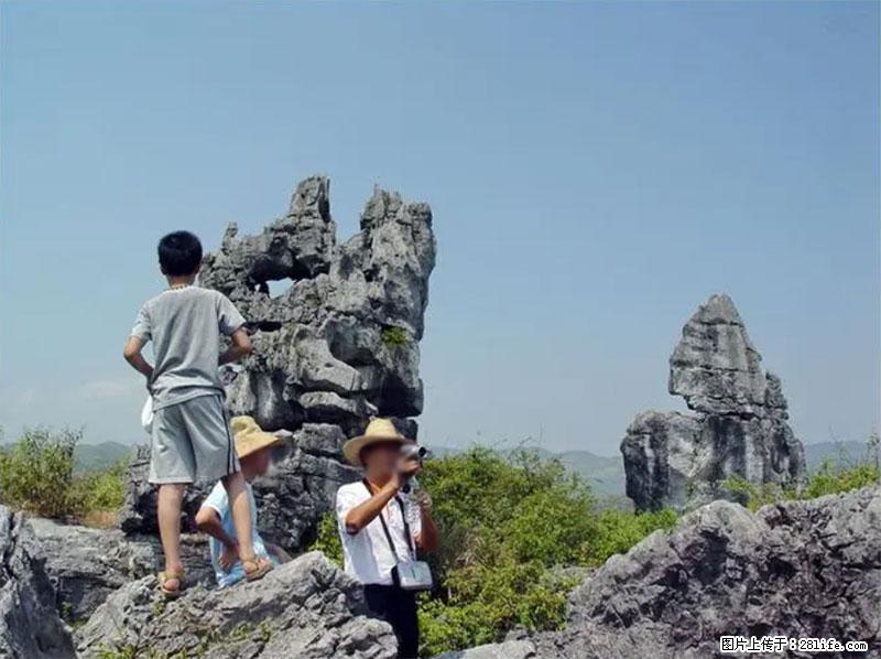 桂林旅游名城景点：灌阳文市石林 - 游山玩水 - 保山生活社区 - 保山28生活网 bs.28life.net