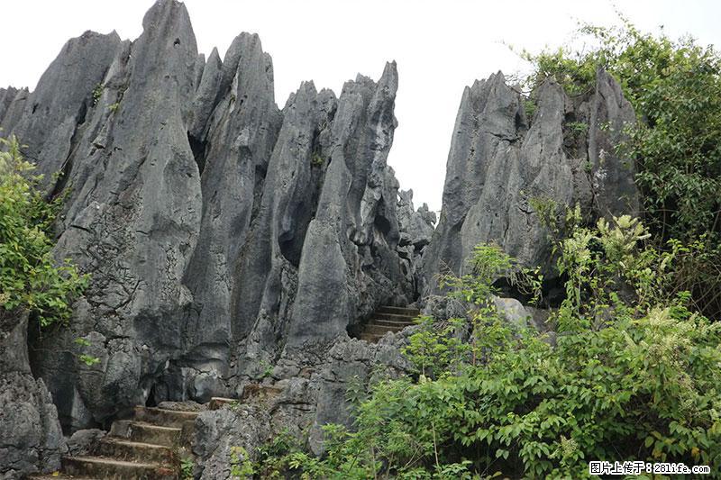 桂林旅游名城景点：灌阳文市石林 - 游山玩水 - 保山生活社区 - 保山28生活网 bs.28life.net