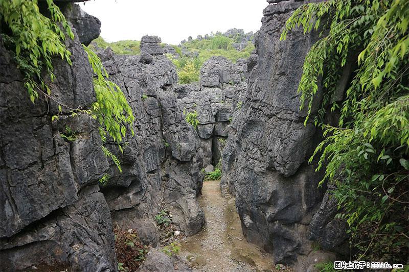 桂林旅游名城景点：灌阳文市石林 - 游山玩水 - 保山生活社区 - 保山28生活网 bs.28life.net