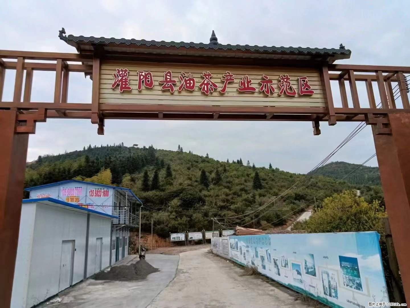 【灌阳县油茶产业示范区】一个有着充实的精神生活的人，对待身外之物自会有一种淡泊的态度 - 土特产 - 饮食特产 - 保山分类信息 - 保山28生活网 bs.28life.net