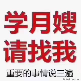 为什么要学习月嫂，育婴师？ - 保山28生活网 bs.28life.net