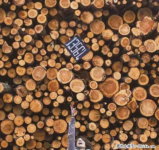 辞掉工作周游世界？现在他们在洗厕所…… - 游山玩水 - 保山生活社区 - 保山28生活网 bs.28life.net