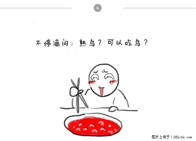 千万不要和这9种哈卵一起吃火锅！ - 美食天地 - 保山生活社区 - 保山28生活网 bs.28life.net