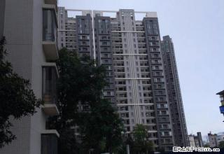 金诺房产观城国际11楼 - 保山28生活网 bs.28life.net