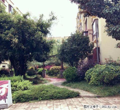 隆阳【金诺房产】奥新三期2 3室2厅130平米 精装修 面议 - 房屋出租 - 房屋租售 - 保山分类信息 - 保山28生活网 bs.28life.net