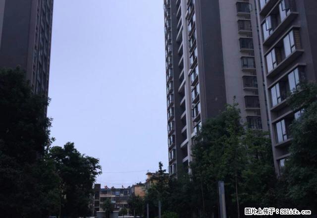 金诺房产保龙庭3楼 - 房屋出租 - 房屋租售 - 保山分类信息 - 保山28生活网 bs.28life.net