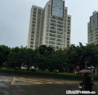 金诺房产学院安置房9楼 - 保山28生活网 bs.28life.net