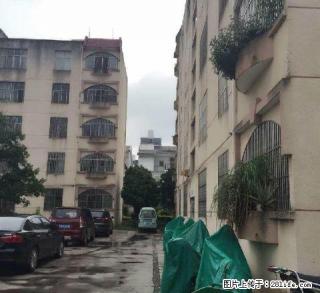 隆阳【金诺房产】 四季风景4室2厅145平米 简单装修 年付 - 保山28生活网 bs.28life.net
