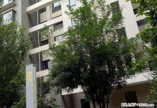妇联房产怡庭雅苑6楼3室带家具精装修 - 房屋出租 - 房屋租售 - 保山分类信息 - 保山28生活网 bs.28life.net