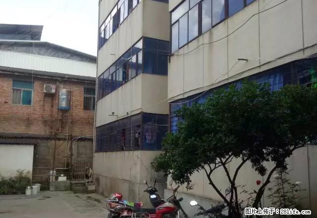 妇联房产 如意巷果树站3楼3室带家具，新刮瓷 - 房屋出租 - 房屋租售 - 保山分类信息 - 保山28生活网 bs.28life.net