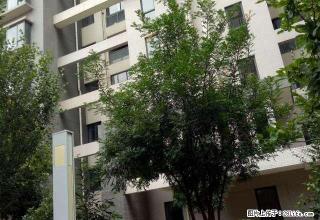 妇联房产怡庭雅苑6楼3室带家具精装修 - 保山28生活网 bs.28life.net