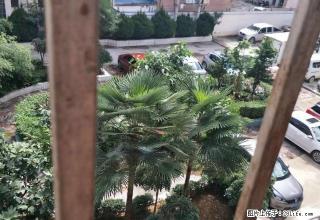 玉泉路芒和大楼宿舍4楼3室1卫精装套房 - 保山28生活网 bs.28life.net