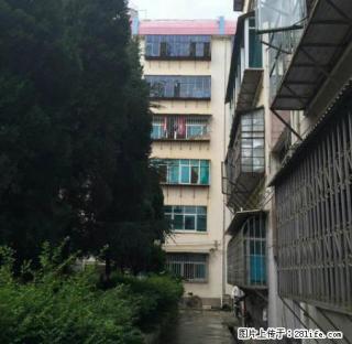 金诺房产正南路4楼 - 保山28生活网 bs.28life.net