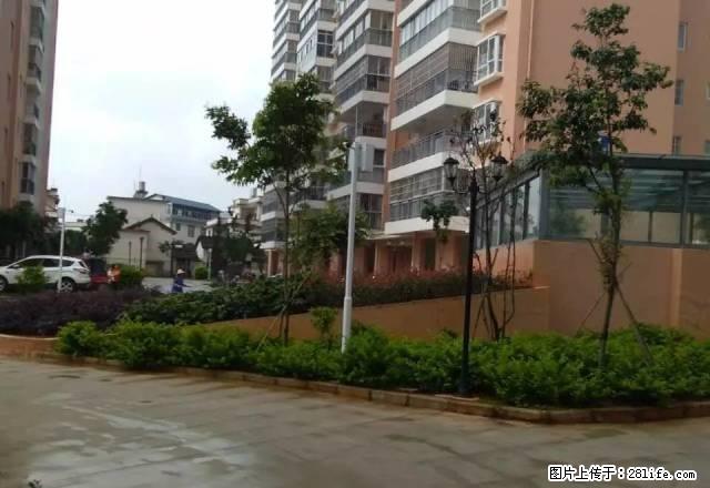 旺福房产 太保北路安置小区、新房，精装 - 房屋出租 - 房屋租售 - 保山分类信息 - 保山28生活网 bs.28life.net