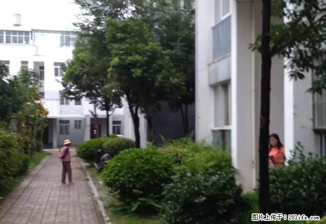 旺福房产、奥新三期、精装4室、拎包入住 - 房屋出租 - 房屋租售 - 保山分类信息 - 保山28生活网 bs.28life.net