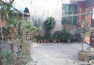 [妇联房产]四季经典北边单院出租占地3.4分院子大 - 保山28生活网 bs.28life.net