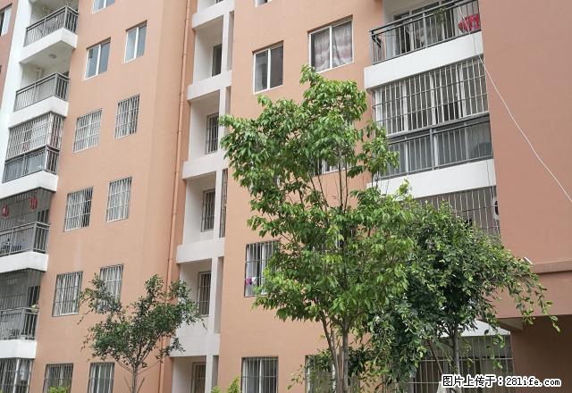 妇联房产太保北路安置小区9楼精装2室套房出租 - 房屋出租 - 房屋租售 - 保山分类信息 - 保山28生活网 bs.28life.net
