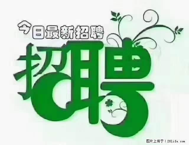 【招聘摄像师】待遇：试用期6000元/月，转正7000元/月+五险一金+餐补+节日福利+奖金 - 其他招聘信息 - 招聘求职 - 保山分类信息 - 保山28生活网 bs.28life.net