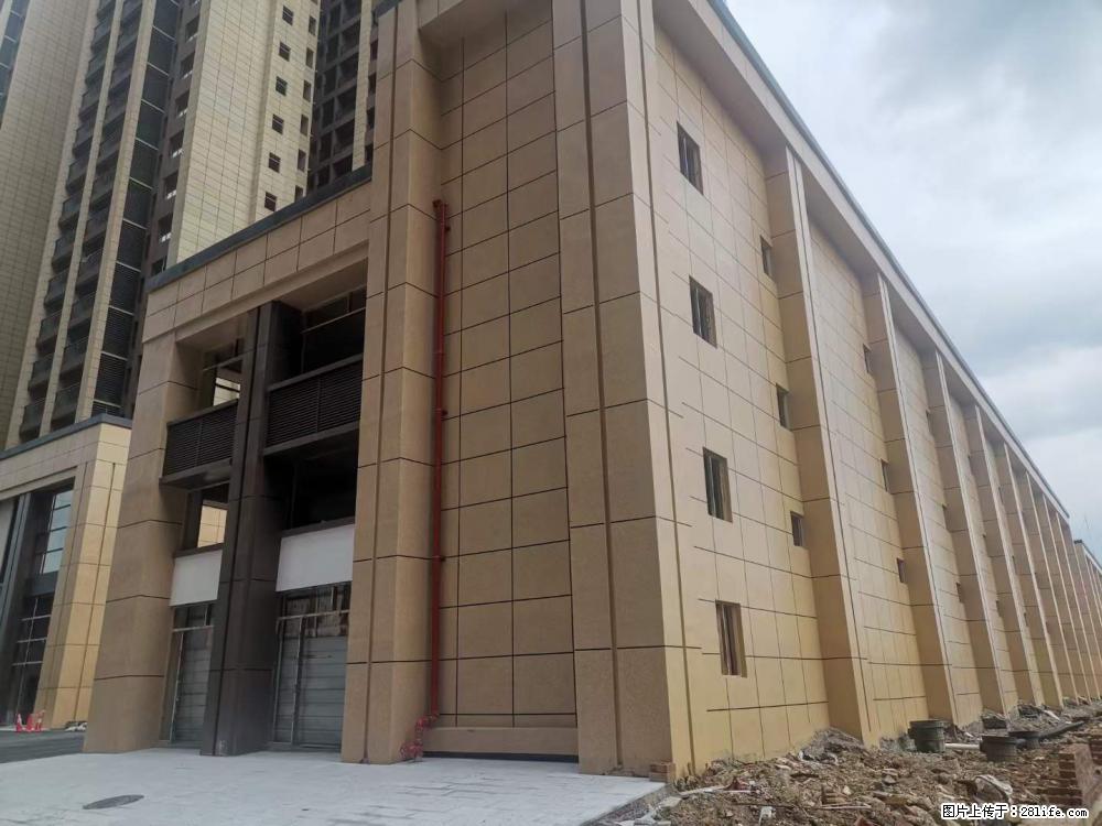 【广西三象建筑安装工程有限公司】外墙涂料工程 - 新手上路 - 保山生活社区 - 保山28生活网 bs.28life.net