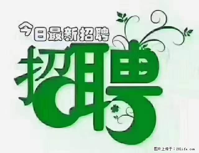 急聘！急聘！上海酒店长期前台，做六休一，每天8小时，6000块钱一月 - 职场交流 - 保山生活社区 - 保山28生活网 bs.28life.net