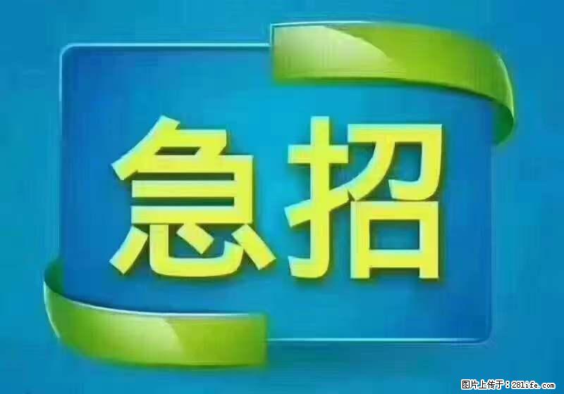 招出纳8000元/月，无证可以，要有相关经验，上海五险一金，包住，包工作餐，做六休一。 - 职场交流 - 保山生活社区 - 保山28生活网 bs.28life.net
