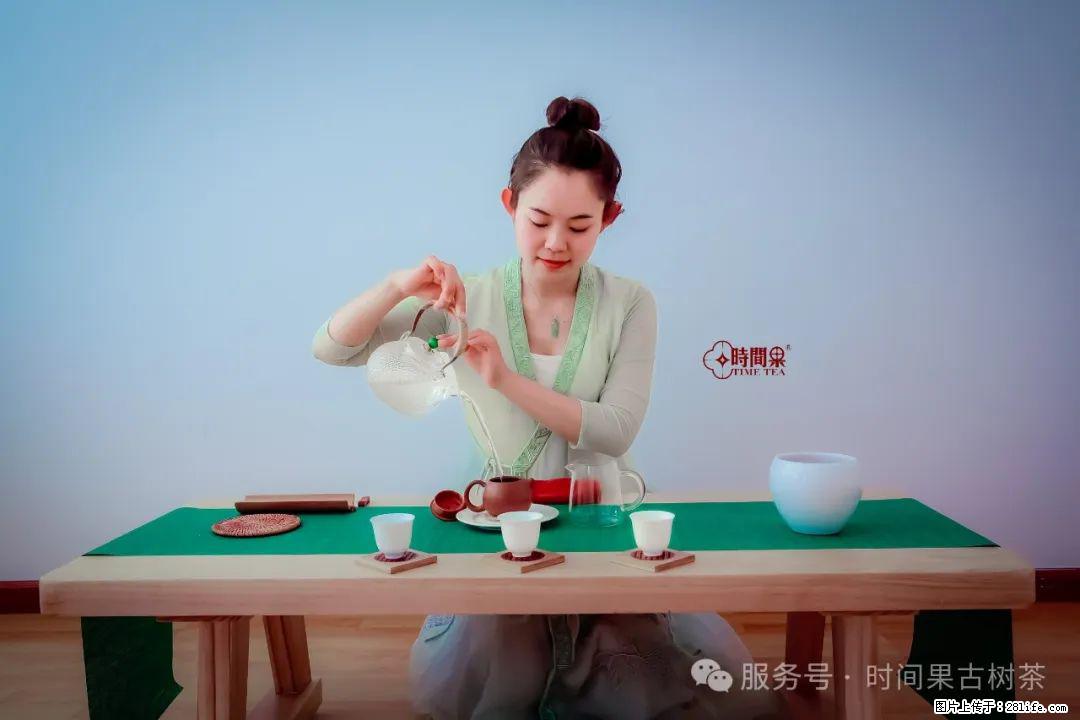 时间果百年古树龙珠普洱生茶 - 购物交流 - 保山生活社区 - 保山28生活网 bs.28life.net