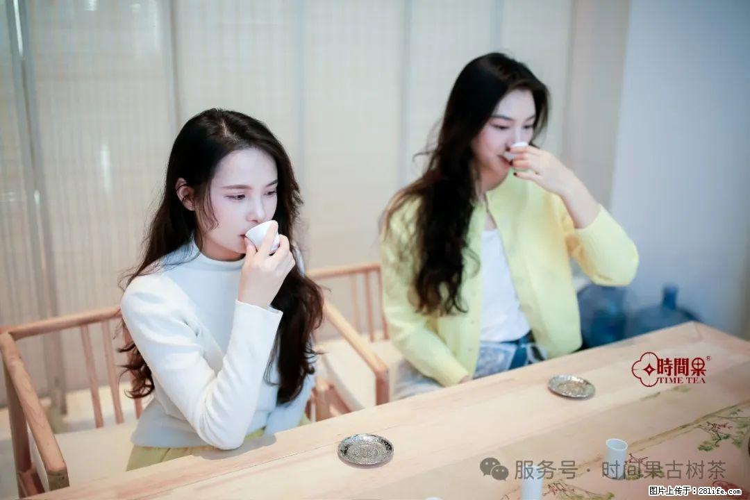 时间果百年古树龙珠普洱生茶 - 购物交流 - 保山生活社区 - 保山28生活网 bs.28life.net