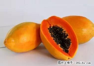 晕车、脚气、牙齿变黄、皮肤粗糙？学会这些三分钟搞定！ - 保山生活资讯 - 保山28生活网 bs.28life.net