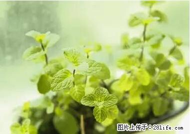 晕车、脚气、牙齿变黄、皮肤粗糙？学会这些三分钟搞定！ - 保山生活资讯 - 保山28生活网 bs.28life.net