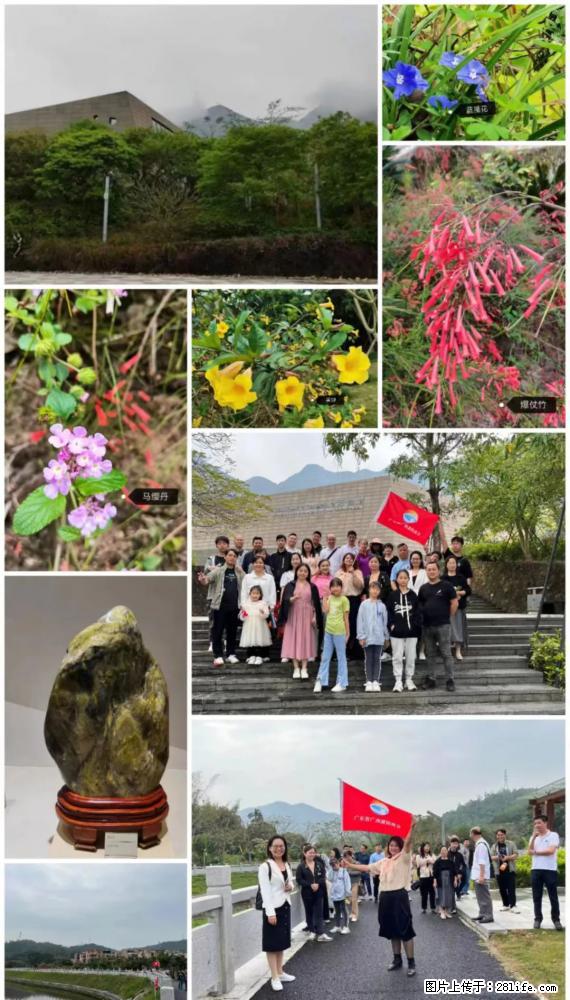 “粤灌文化 美好生活”油茶文化主题活动在广东深圳成功举办 - 保山生活资讯 - 保山28生活网 bs.28life.net