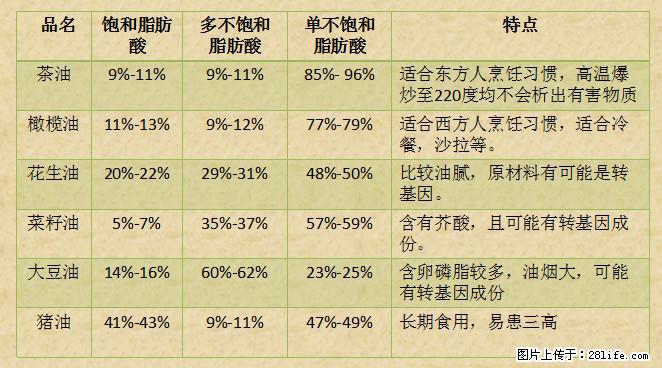 揭秘茶油的5大核心营养成分！被称为人体健康的“守护盾”！ - 保山生活资讯 - 保山28生活网 bs.28life.net