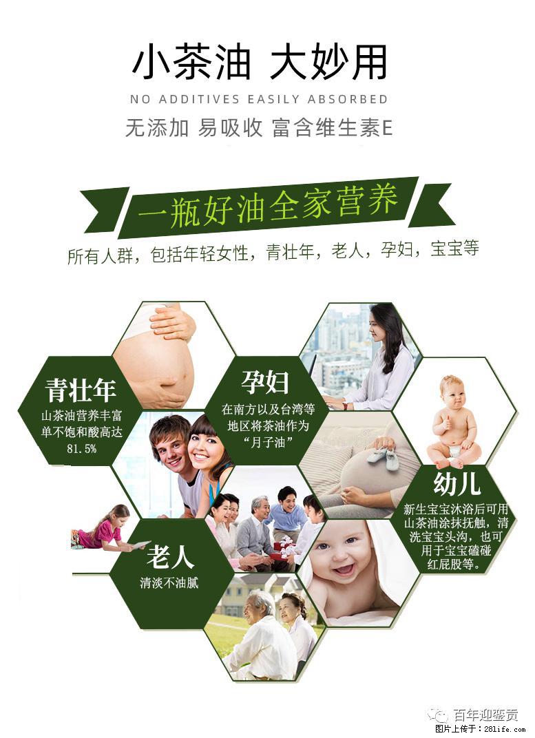 世界没有真相，只有认知，最好的食用油是中国的山茶油！ - 保山生活资讯 - 保山28生活网 bs.28life.net