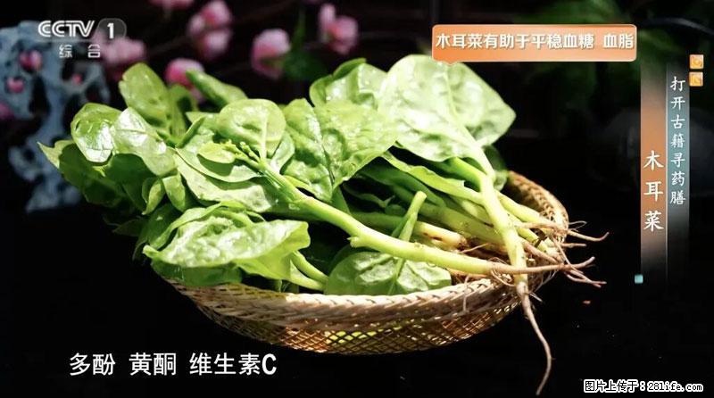 比牛奶补钙还厉害！凉血解毒、稳血糖...这菜冬天必吃，很多人却当草 - 保山生活资讯 - 保山28生活网 bs.28life.net