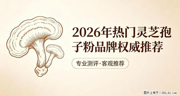 灵芝孢子粉含量越高越有效？2026 年七款热门品牌深度实测，肠胃敏感者避坑指南 - 保山生活资讯 - 保山28生活网 bs.28life.net