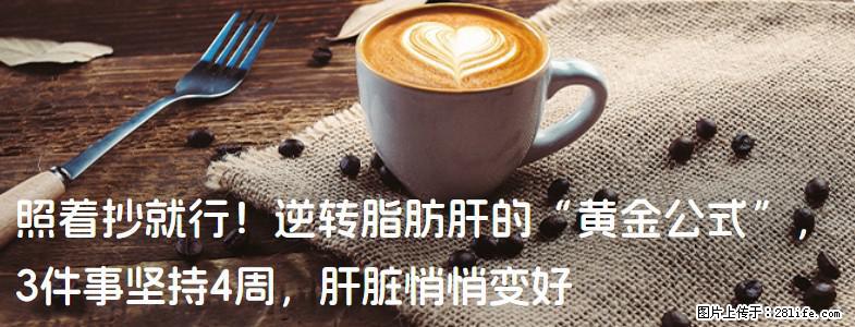 照着抄就行！逆转脂肪肝的“黄金公式”，3件事坚持4周，肝脏悄悄变好 - 保山生活资讯 - 保山28生活网 bs.28life.net
